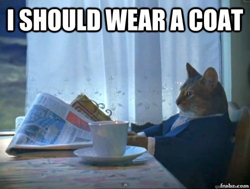 I should wear a coat  - I should wear a coat   Contemplative Breakfast Cat