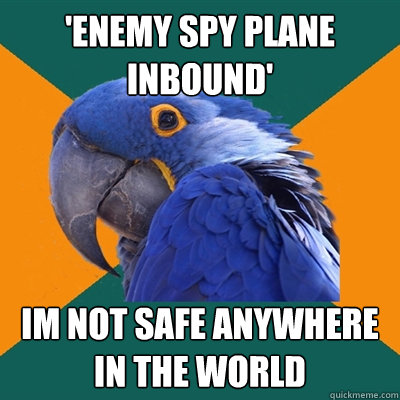 'Enemy Spy Plane inbound' im not safe anywhere in the world  Paranoid Parrot