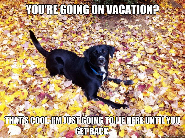 You're going on vacation? That's cool. I'm just going to lie here until you get back.  Guilt Giving Good Dog