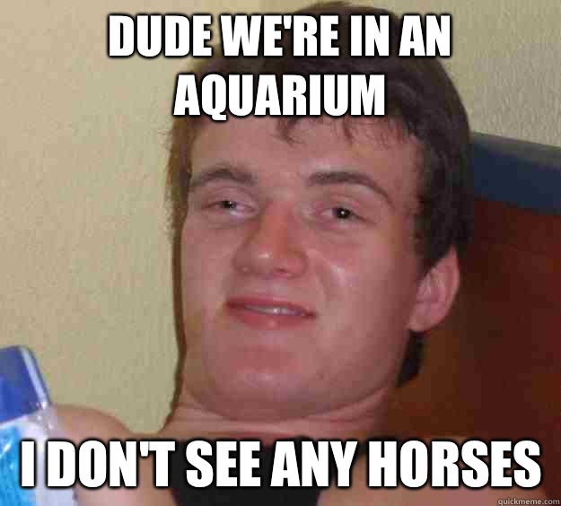 Dude we're in an aquarium I don't see any horses  10 Guy