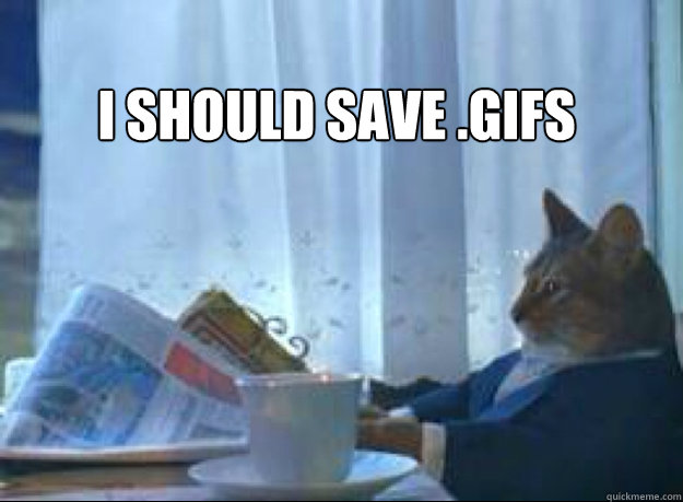 I should save .gifs  - I should save .gifs   I should buy a boat cat