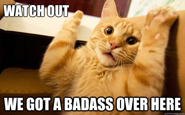Watch out WE got a badass over here - Watch out WE got a badass over here  badcat over here