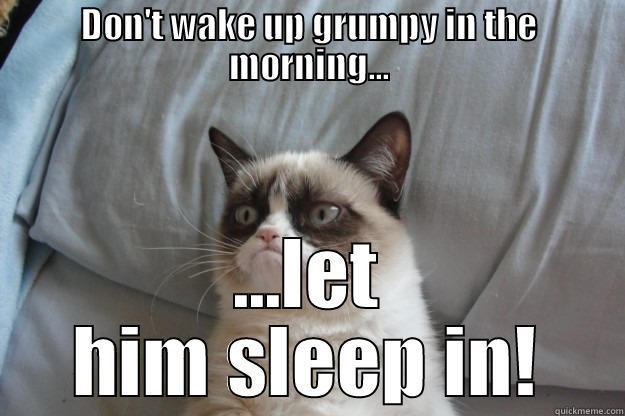 not a morning person - DON'T WAKE UP GRUMPY IN THE MORNING... ...LET HIM SLEEP IN! Grumpy Cat