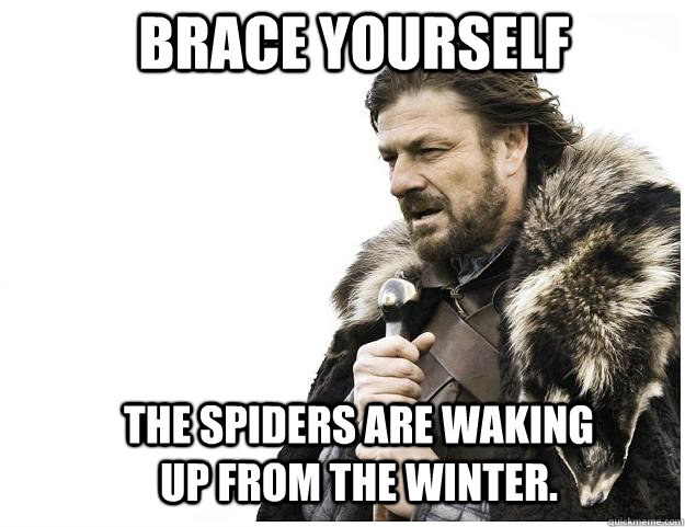 Brace yourself the spiders are waking up from the winter.  Imminent Ned