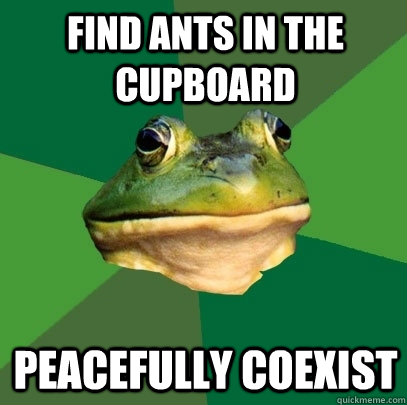 Find ants in the cupboard Peacefully Coexist  Foul Bachelor Frog