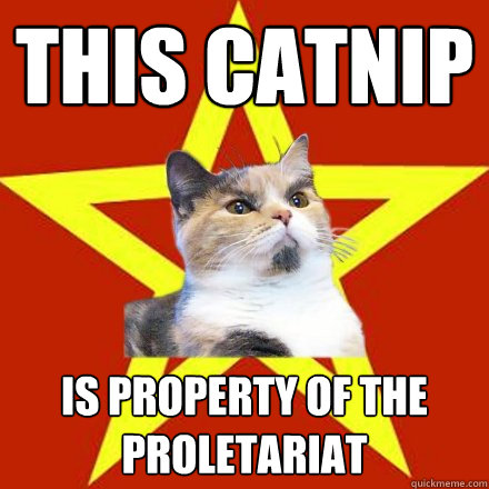 This catnip Is property of the proletariat   Lenin Cat