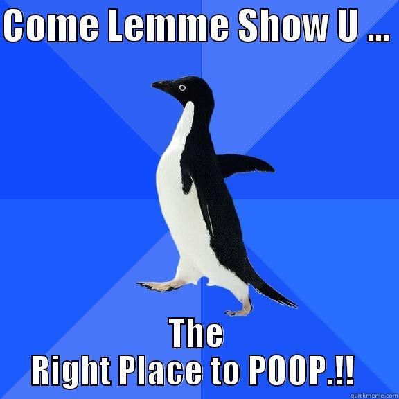 COME LEMME SHOW U ...  THE RIGHT PLACE TO POOP.!!  Socially Awkward Penguin