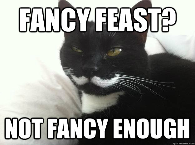 Fancy Feast? Not Fancy Enough - Fancy Feast? Not Fancy Enough  Misc