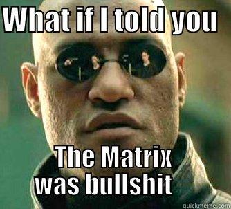 WHAT IF I TOLD YOU   THE MATRIX WAS BULLSHIT     Matrix Morpheus