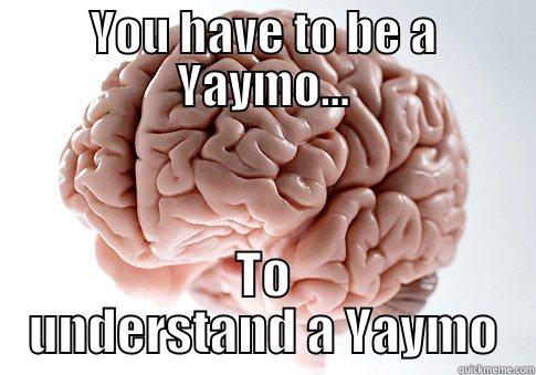 YOU HAVE TO BE A YAYMO... TO UNDERSTAND A YAYMO Scumbag Brain