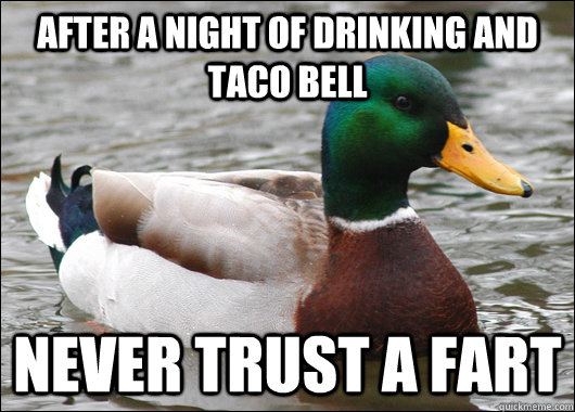 After a night of drinking and taco bell never trust a fart  Actual Advice Mallard