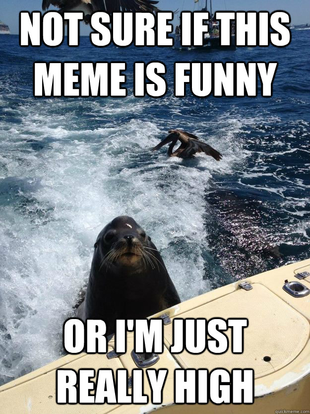 Not sure if this meme is funny Or I'm just really high - Not sure if this meme is funny Or I'm just really high  Stoned Seal