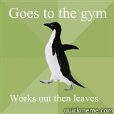 Works out then leaves Goes to the gym   Socially Average Penguin