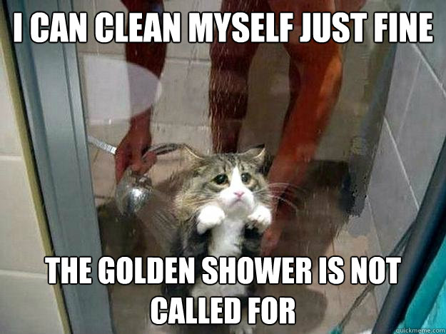 I can clean myself just fine the golden shower is not called for  Shower kitty