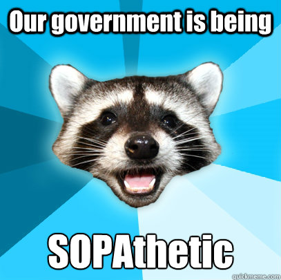 Our government is being SOPAthetic  Lame Pun Coon