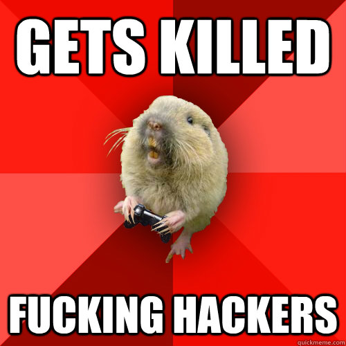 Gets killed Fucking hackers  Gaming Gopher