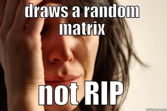 DRAWS A RANDOM MATRIX NOT RIP First World Problems