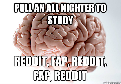pull an all nighter to study reddit, fap, reddit, 
fap, reddit  Scumbag Brain