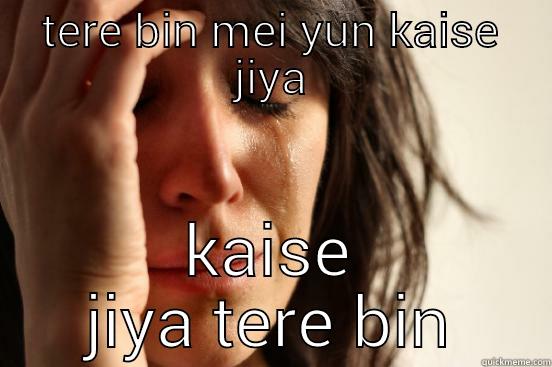 TERE BIN MEI YUN KAISE JIYA KAISE JIYA TERE BIN First World Problems