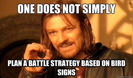 One Does Not Simply Plan a battle strategy based on bird signs  Boromir