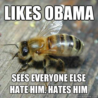 Likes Obama Sees everyone else hate him. Hates him  Hivemind bee