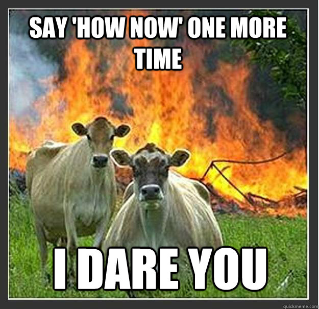 Say 'How now' one more time I dare you  Evil cows