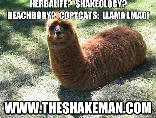 Herbalife?  shakeology?  beachbody?  copycats:  llama lmao! www.theshakeman.com  Alpacapillar