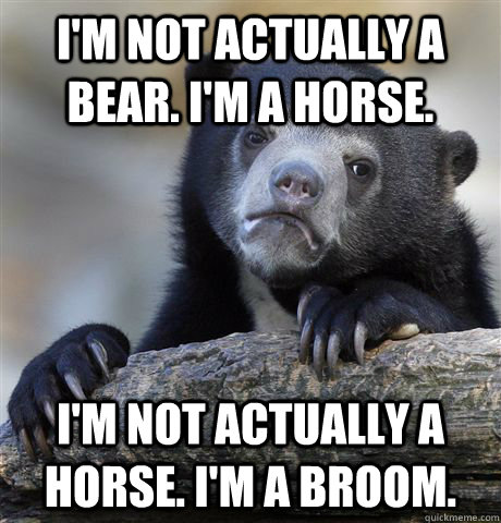I'm not actually a bear. I'm a horse. I'm not actually a horse. I'm a broom.  Confession Bear