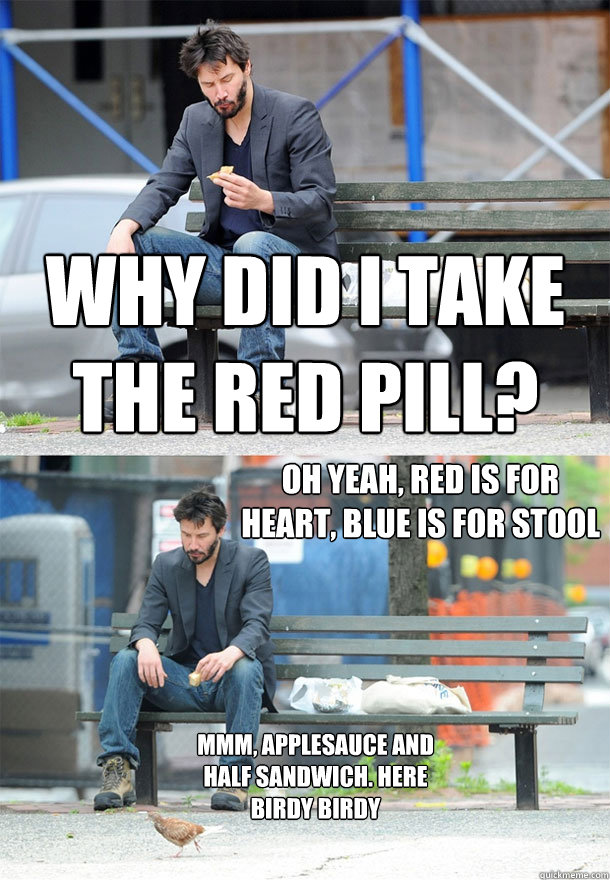 why did i take the red pill? oh yeah, red is for heart, blue is for stool mmm, applesauce and half sandwich. here birdy birdy  Sad Keanu