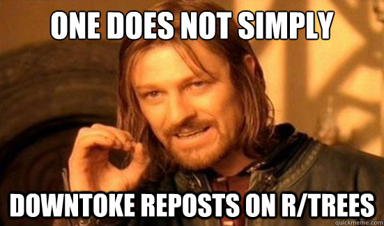 One Does Not Simply downtoke reposts on r/trees  Boromir