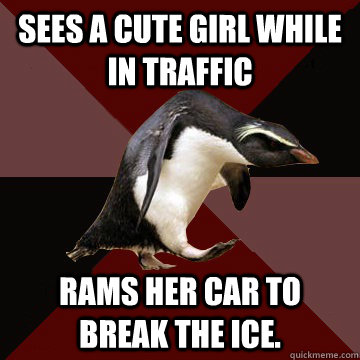 Sees a cute girl while in traffic Rams her car to break the ice. - Sees a cute girl while in traffic Rams her car to break the ice.  Socially Insane Penguin