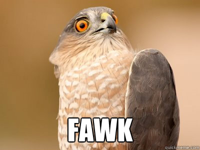 FAWK  Fawk