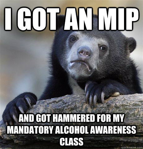 I got an MIP  and got hammered for my mandatory alcohol awareness class  Confession Bear