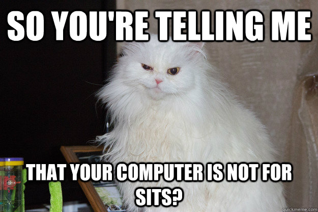 So you're telling me That your computer is not for sits? - So you're telling me That your computer is not for sits?  Misc