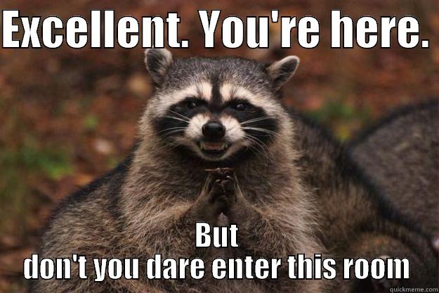 EXCELLENT. YOU'RE HERE.  BUT DON'T YOU DARE ENTER THIS ROOM Evil Plotting Raccoon