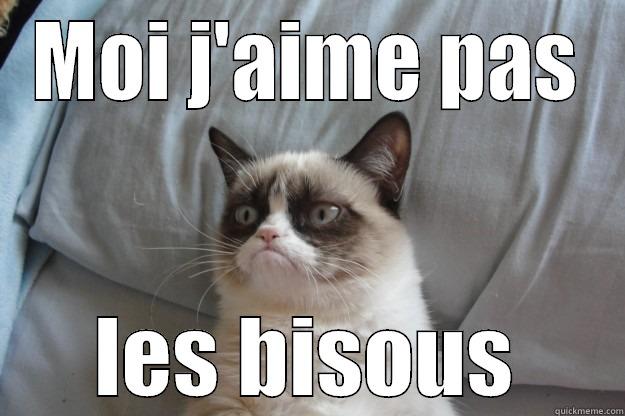 Moi J'aime Pas Les Gens Qui Disent Bismillah Moi j'aime pas les bisous - quickmeme