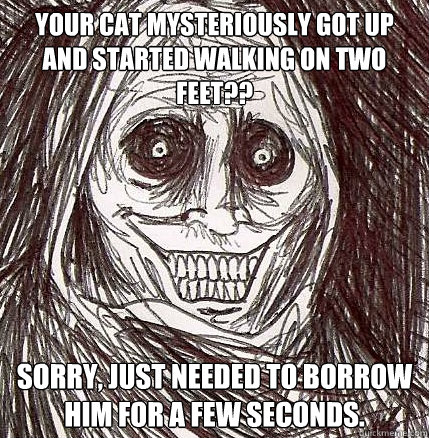 your cat mysteriously got up and started walking on two feet?? sorry, just needed to borrow him for a few seconds. - your cat mysteriously got up and started walking on two feet?? sorry, just needed to borrow him for a few seconds.  Horrifying Houseguest