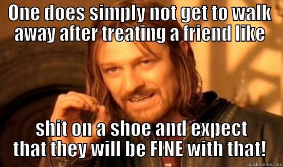 ONE DOES SIMPLY NOT GET TO WALK AWAY AFTER TREATING A FRIEND LIKE  SHIT ON A SHOE AND EXPECT THAT THEY WILL BE FINE WITH THAT! Boromir