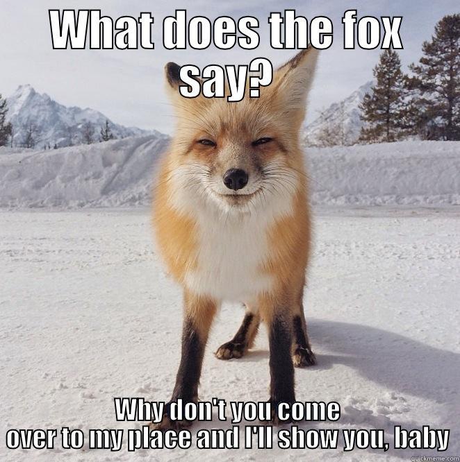 I'll show you what the Fox says - WHAT DOES THE FOX SAY? WHY DON'T YOU COME OVER TO MY PLACE AND I'LL SHOW YOU, BABY Misc