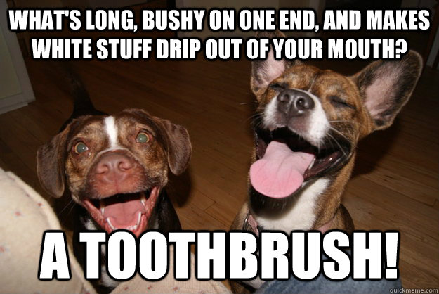 What's long, bushy on one end, and makes white stuff drip out of your mouth? A toothbrush! - What's long, bushy on one end, and makes white stuff drip out of your mouth? A toothbrush!  Clean Joke Puppies