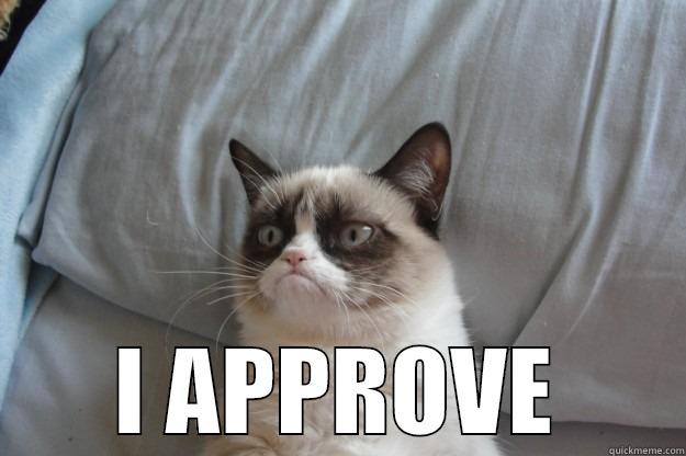  I APPROVE Grumpy Cat