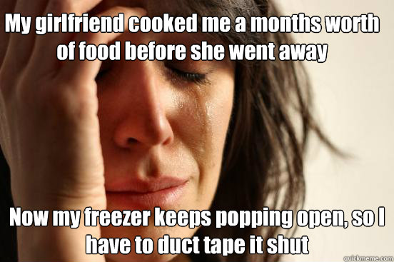 My girlfriend cooked me a months worth of food before she went away Now my freezer keeps popping open, so I have to duct tape it shut  First World Problems