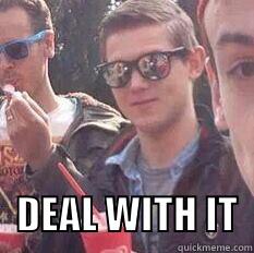     DEAL WITH IT  Misc