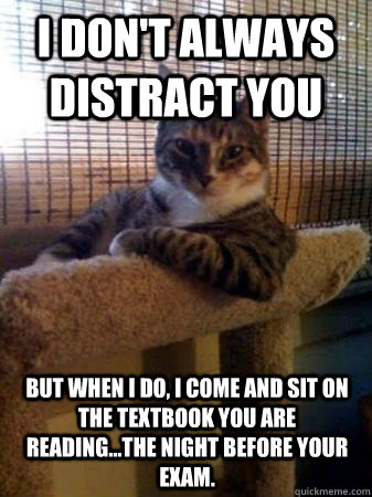 I don't always distract you but when i do, i come and sit on the textbook you are reading...the night before your exam.  The Most Interesting Cat in the World