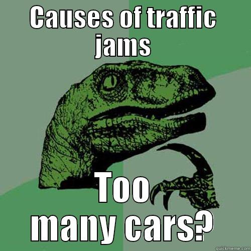 CAUSES OF TRAFFIC JAMS TOO MANY CARS? Philosoraptor