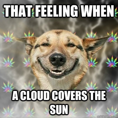 That feeling when A cloud covers the sun  Stoner Dog