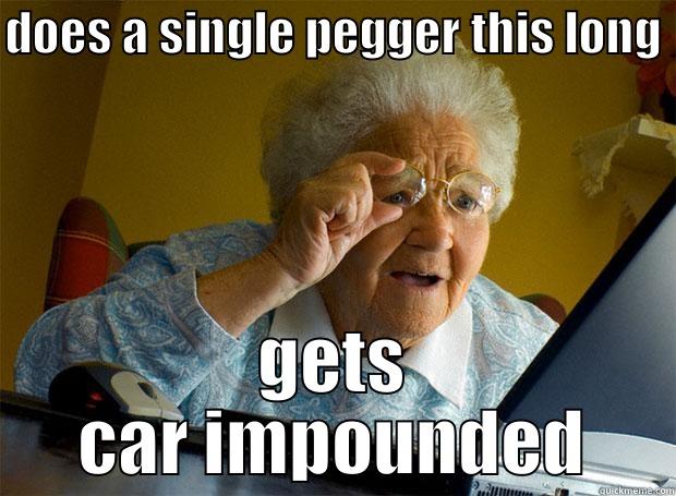 DOES A SINGLE PEGGER THIS LONG GETS CAR IMPOUNDED Grandma finds the Internet