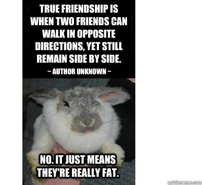 True friendship is when two friends can walk in opposite directions, yet still remain side by side. ~ Author Unknown ~ NO. IT JUST MEANS THEY'RE REALLY FAT.  Angry Bunny