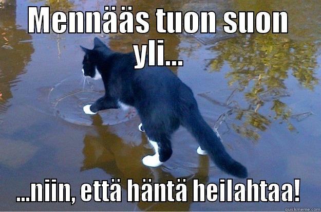 InFinnish  - MENNÄÄS TUON SUON YLI... ...NIIN, ETTÄ HÄNTÄ HEILAHTAA! Jesus Cat