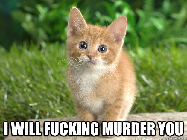 I will fucking murder you - I will fucking murder you  Evil Cat